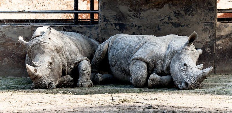 Достало всё ... фото превью