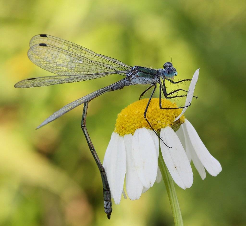 , Сергей Таланов