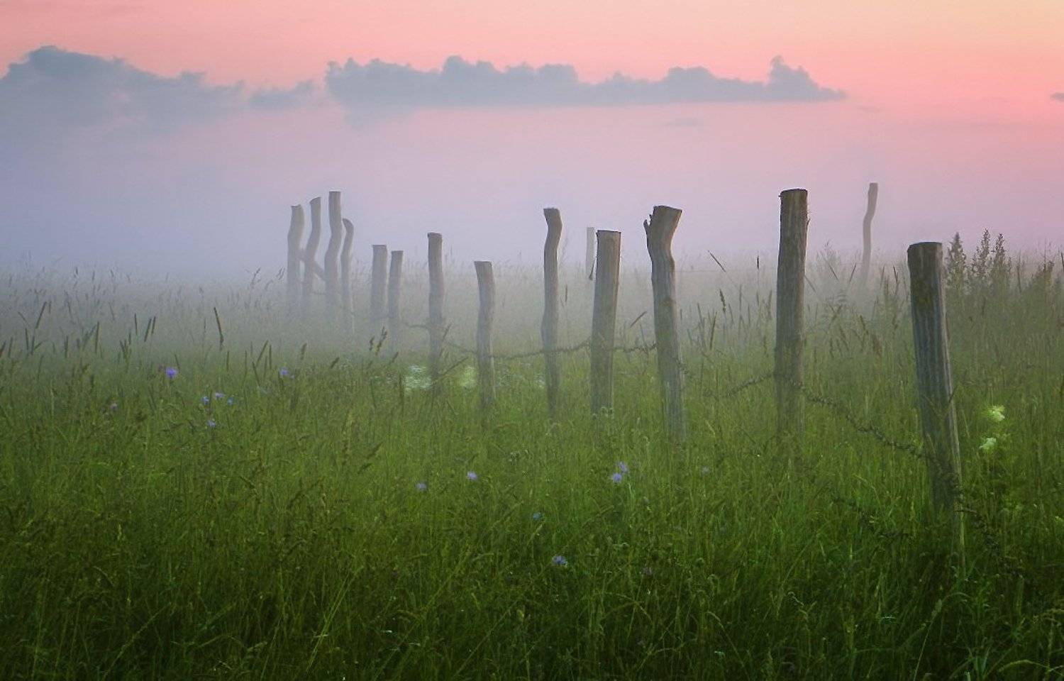 забор, поле, туман, вечер, Vitalijus Serioginas