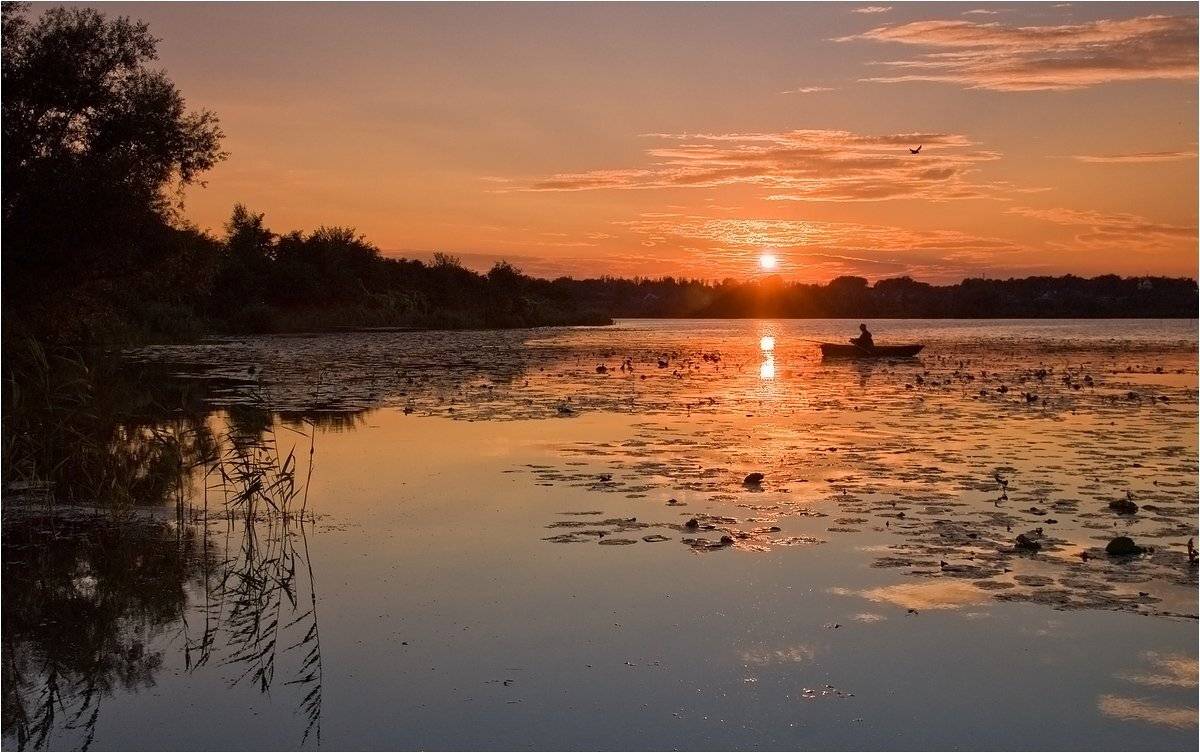 , Николай Шахманцир