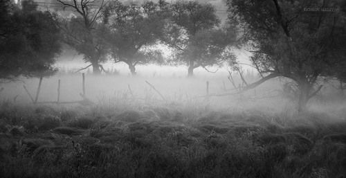 Туманная загадочность