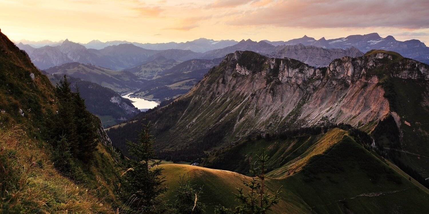 swiss, Матвеев Николай