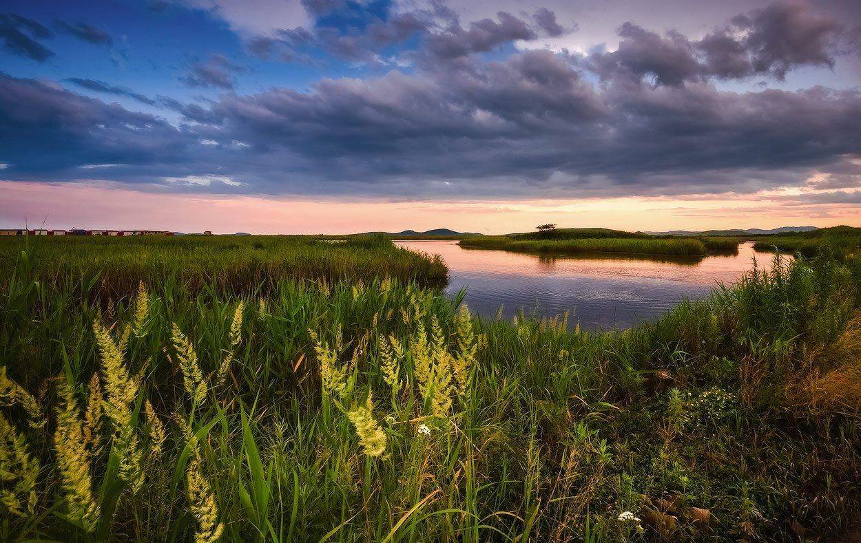 вечер, небо, трава, Андрей Кровлин