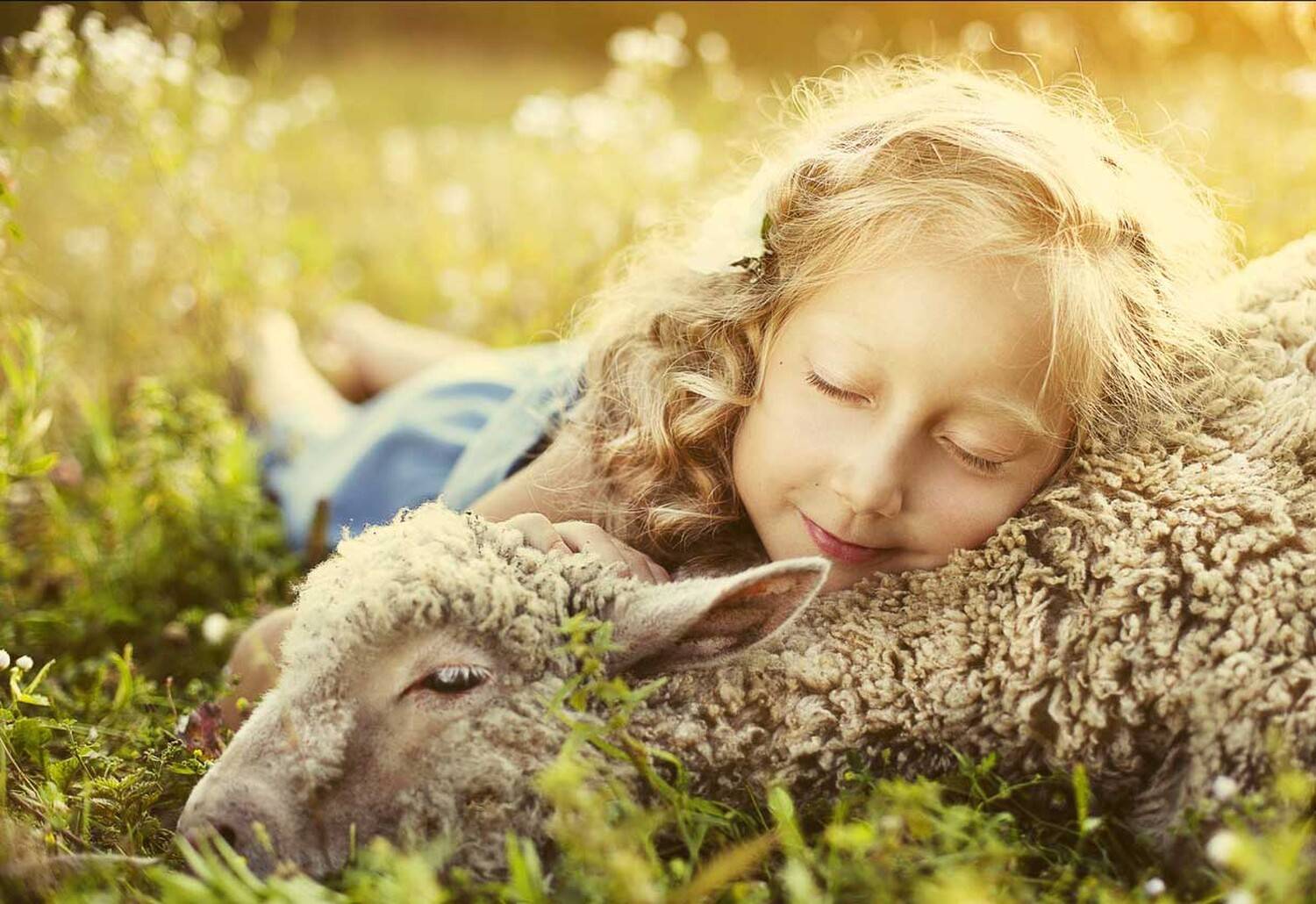 , Сафонова Ольга