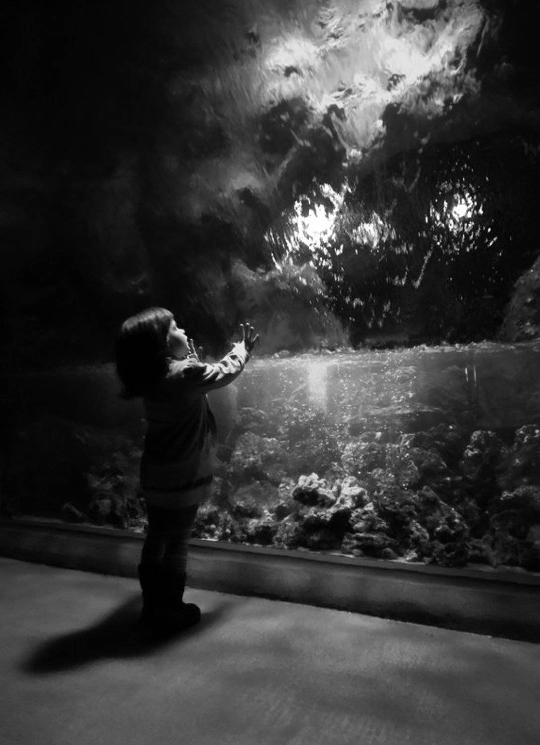 жанр, Василий Яковлев