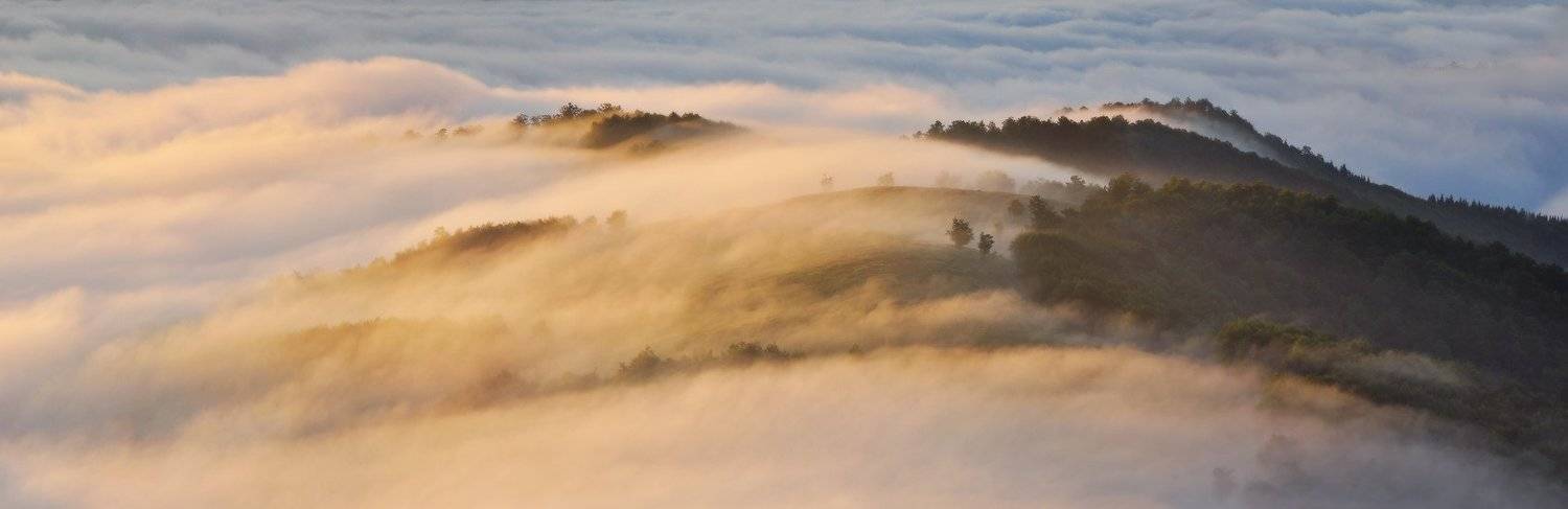 , Денис Кривой