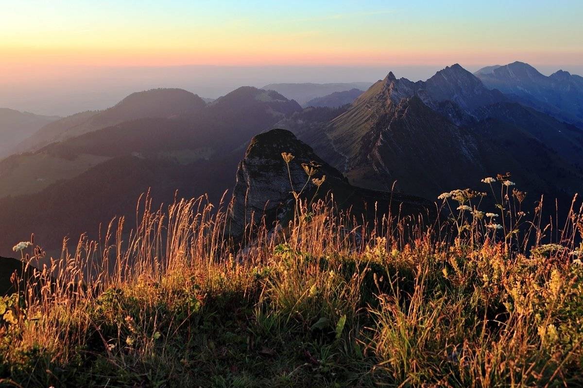 , Матвеев Николай