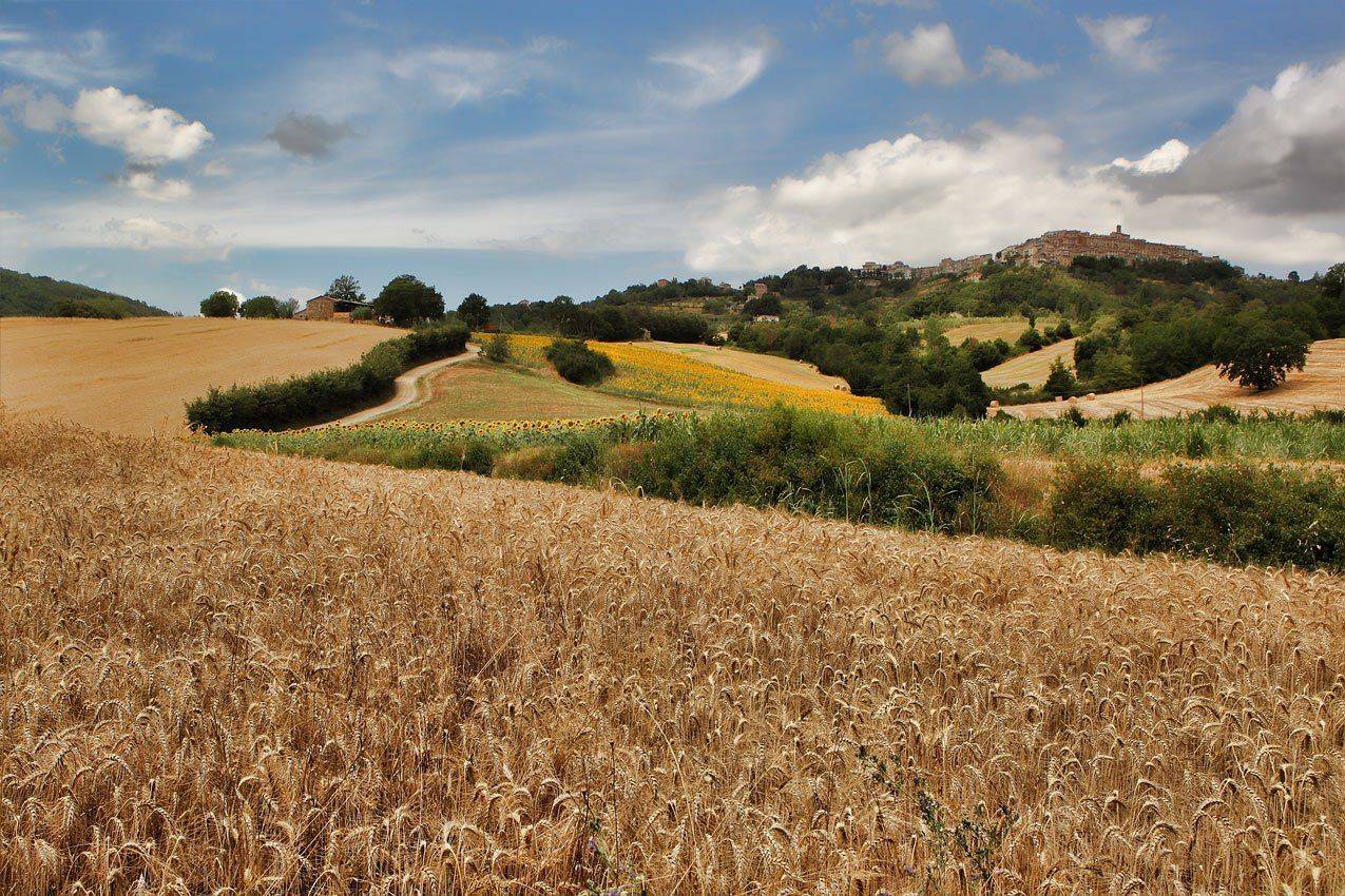 , Игорь Дубровский