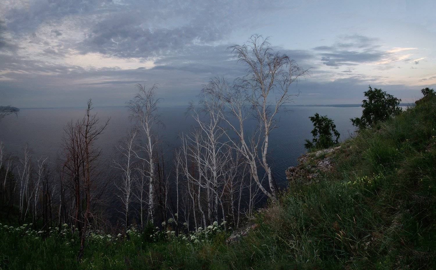 , Владимир Ляпин