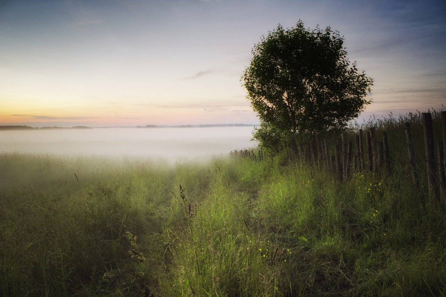 поле, туман, вечер, забор, Vitalijus Serioginas