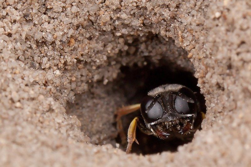 Hа грубость нарываетесь ?! фото превью
