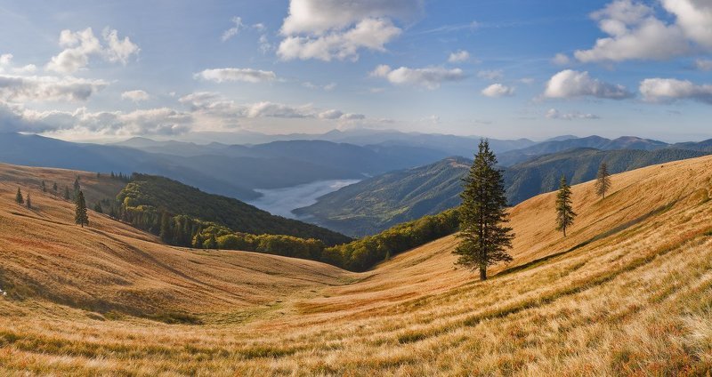 карпаты, горы, утро, туман Утро на Браилке фото превью
