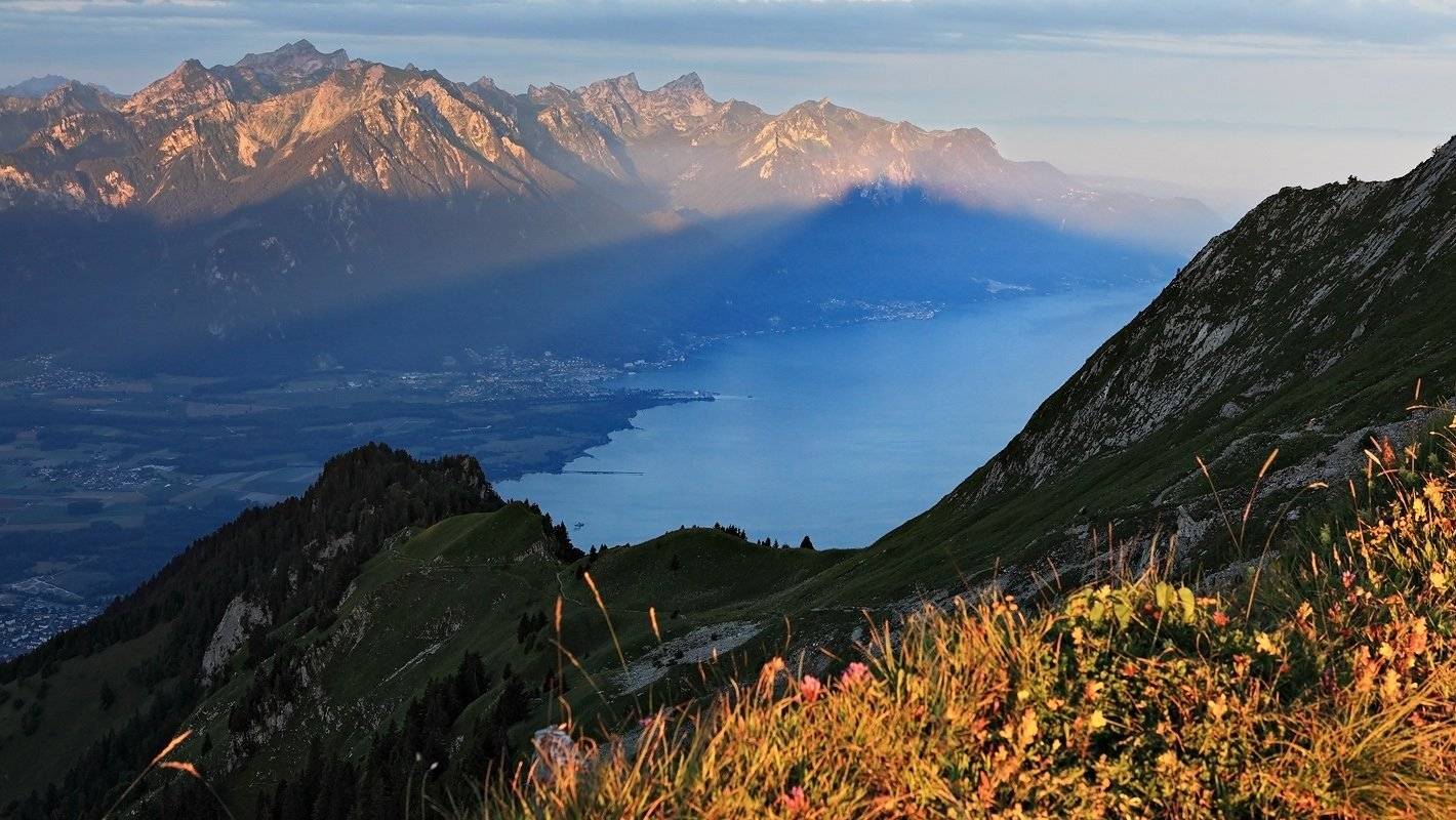 swiss, Матвеев Николай