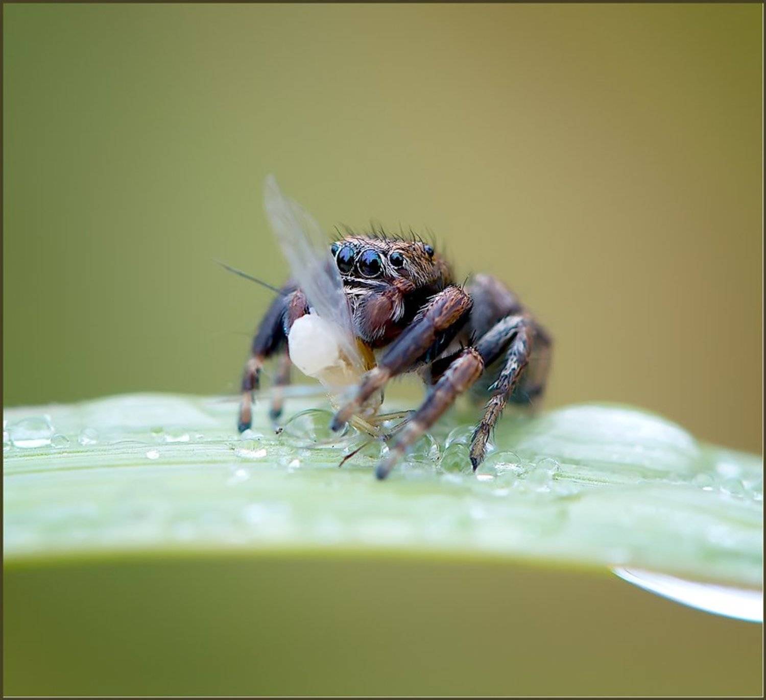 , Евгений Кирилкин.