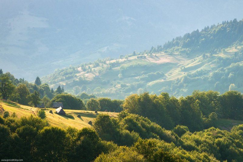 карпаты, фототур, склоны, горы Солнечные склоны фото превью