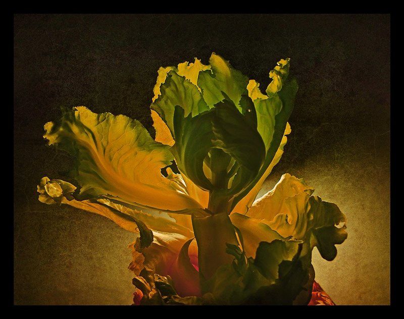 Танец фото превью