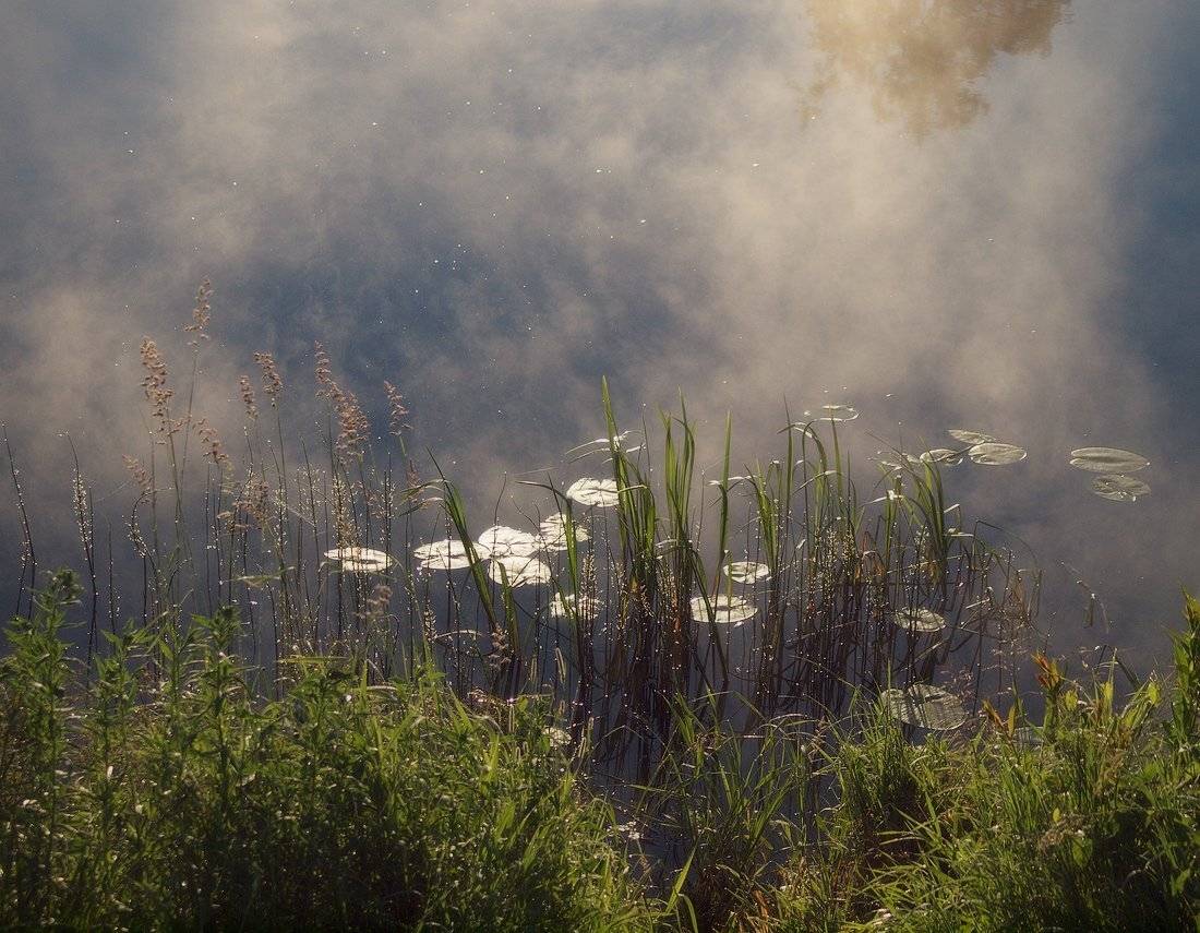 , Владимир Перепечаев