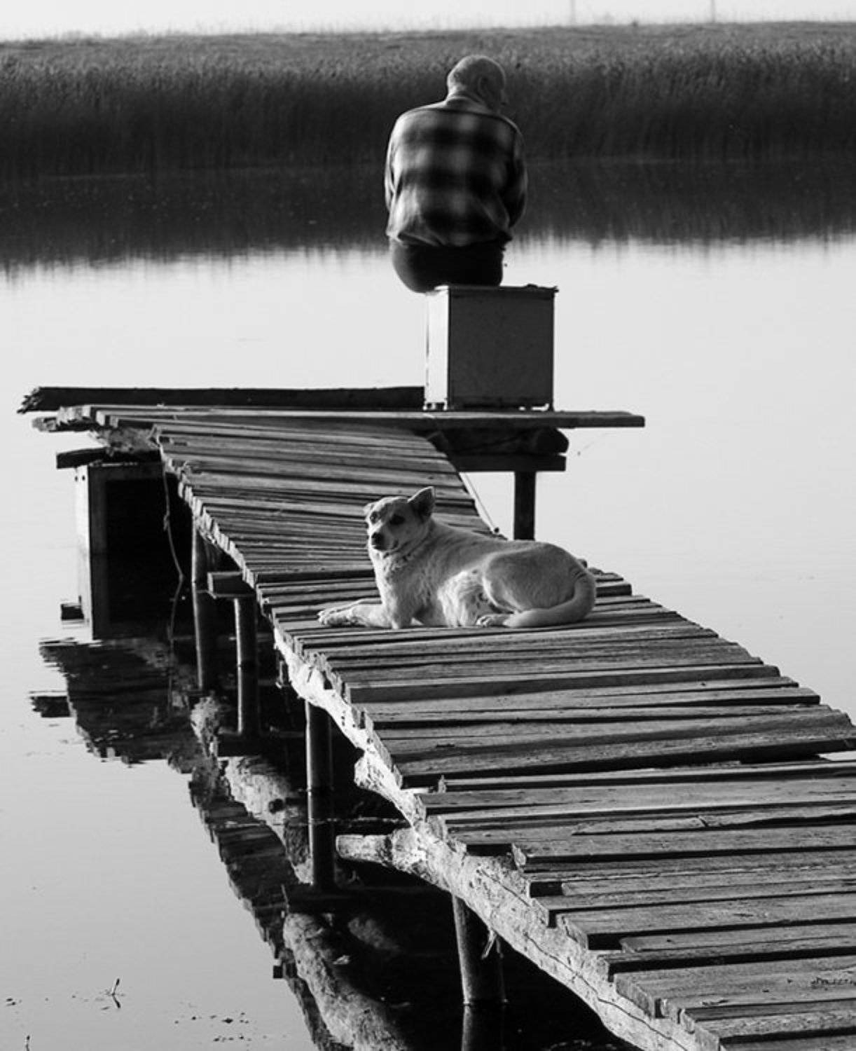 , Белый Дима