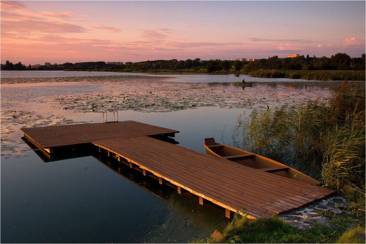 , Николай Шахманцир