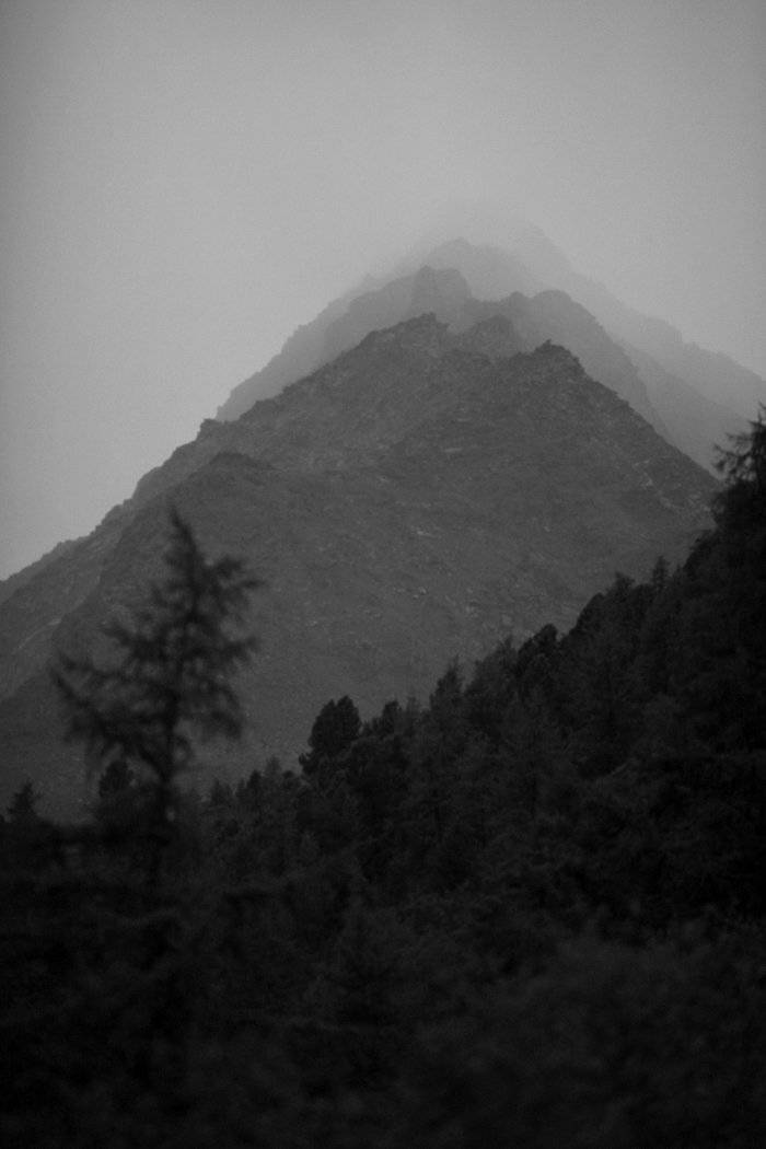 , Степан Каморный