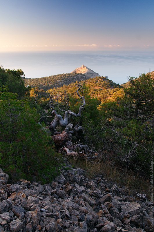 Жизнь из камней фото превью