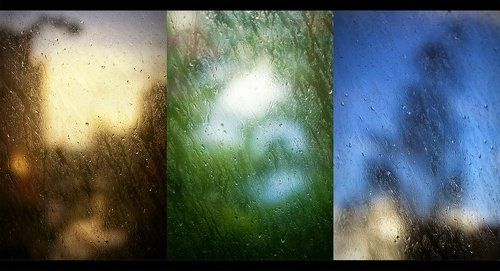 Colors of life