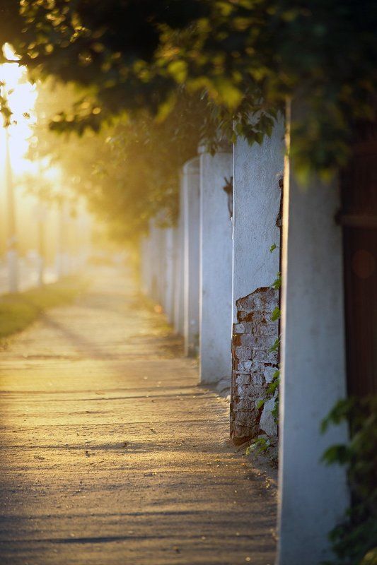 ||||| фото превью