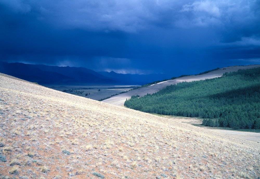 тыва, плёнка, фуджика, Павел Мартюшев