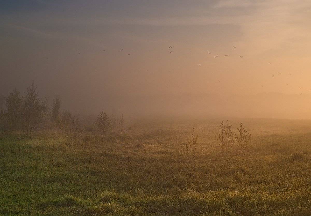 , Марина Брыдня