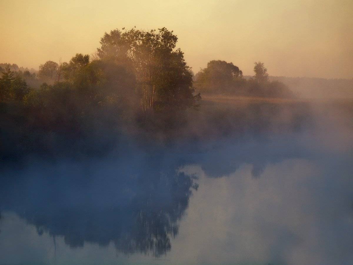 , Владимир Перепечаев