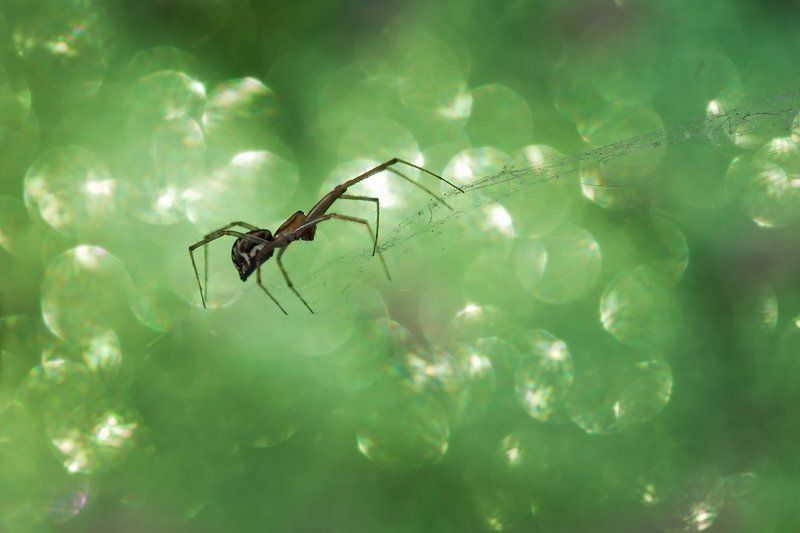 ... фото превью