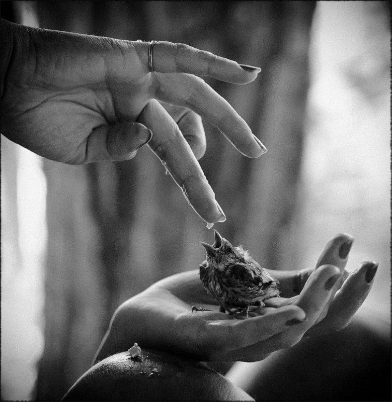 скажи ааа... фото превью