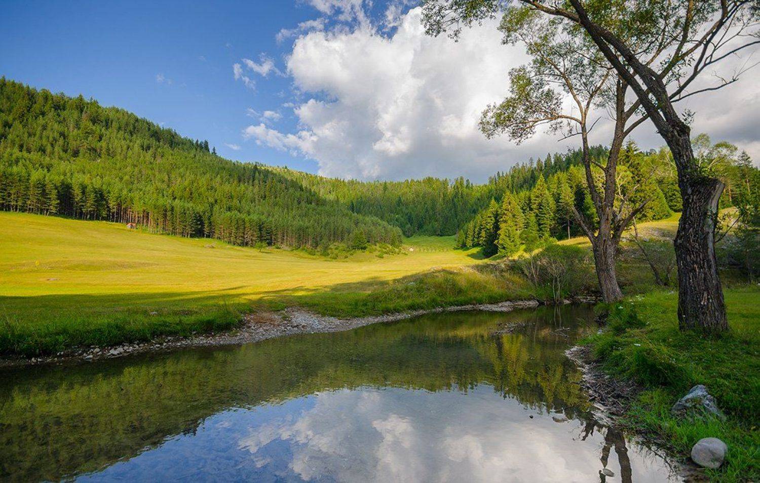 , Philip Peynerdjiev