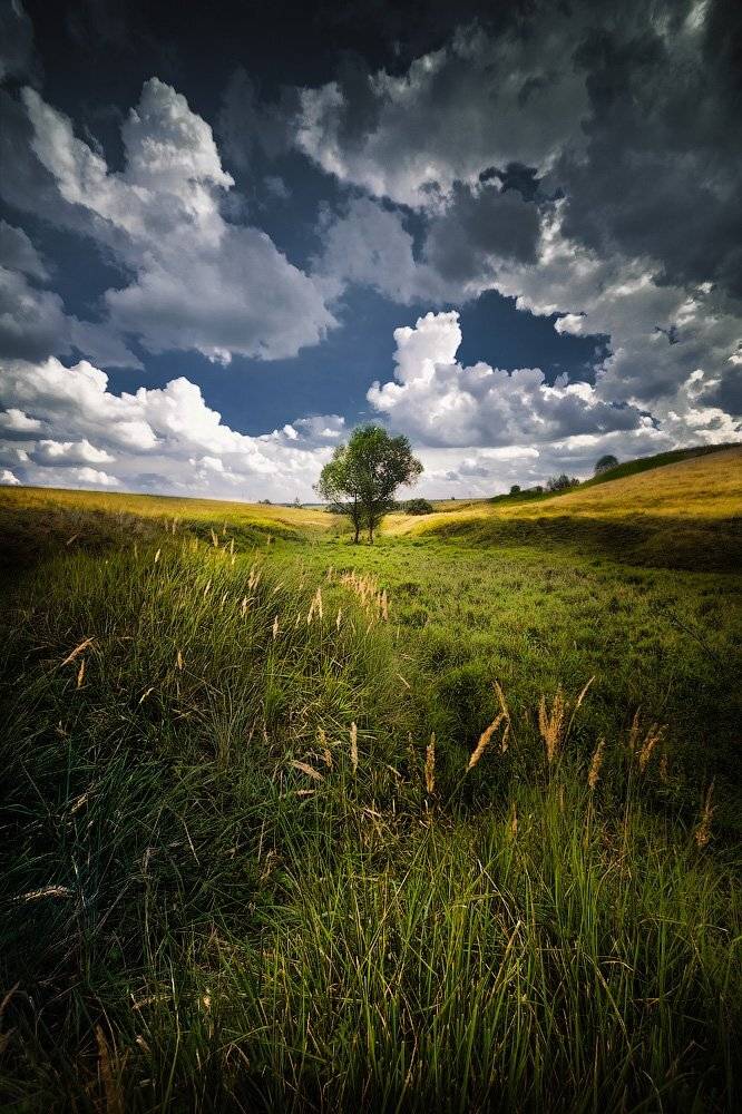 , Сергей Зимин