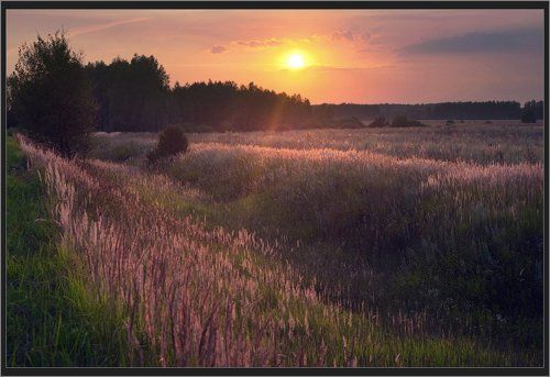 Мещерский закат