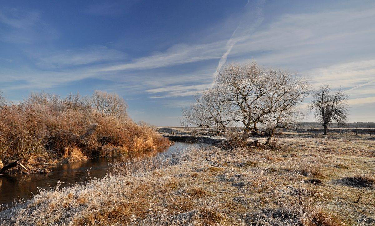 , Володимир Карчевський