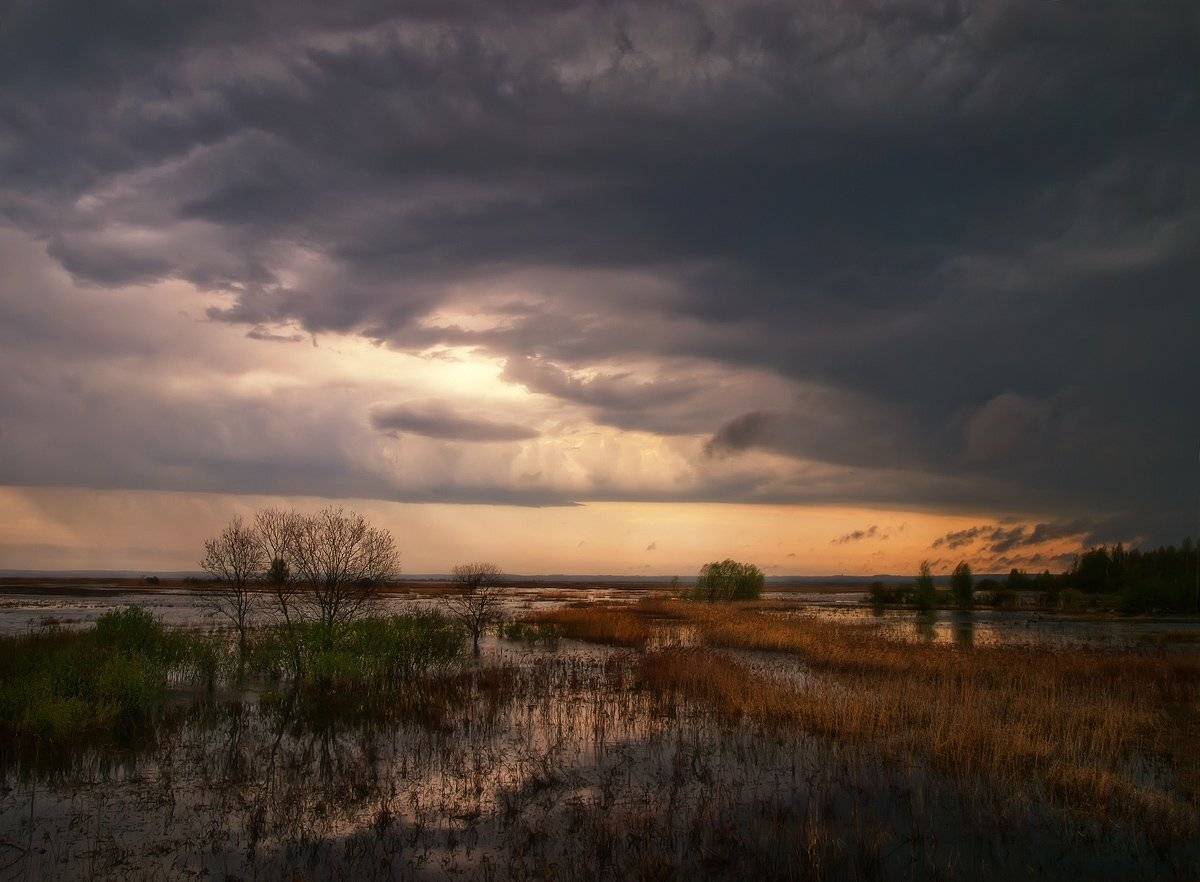 , Марина Брыдня