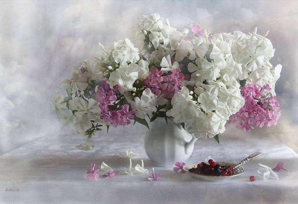 цветы, натюрморт, Svetlana Ра