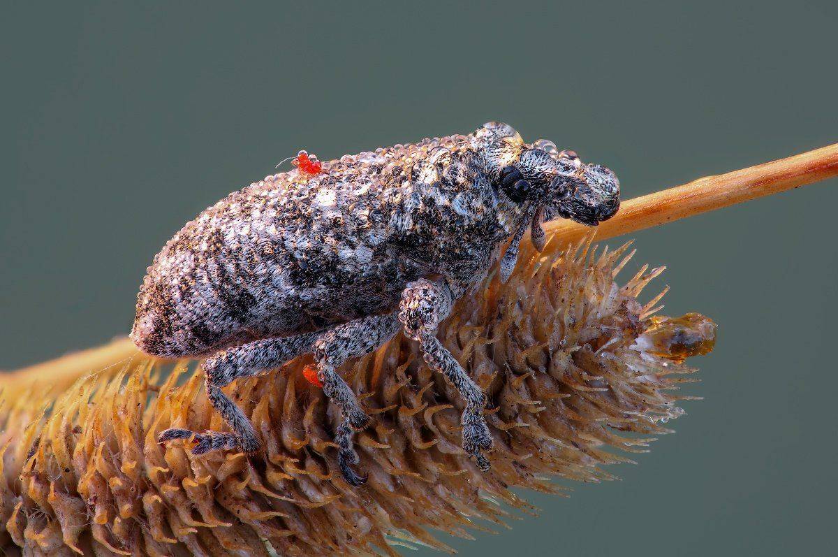 , Вадим Ходаковский