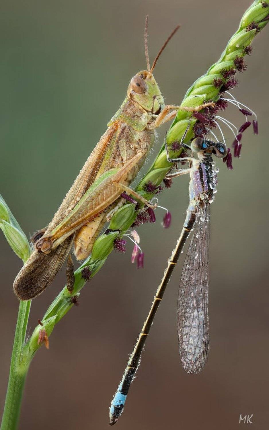 и, с, кем, только, ночевать, не, приходится..., Miron Karlinsky