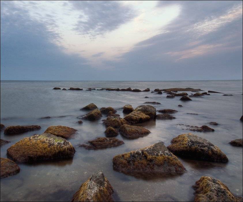 , Полищук И.В.