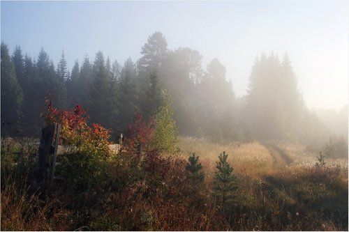 На Красный Яр