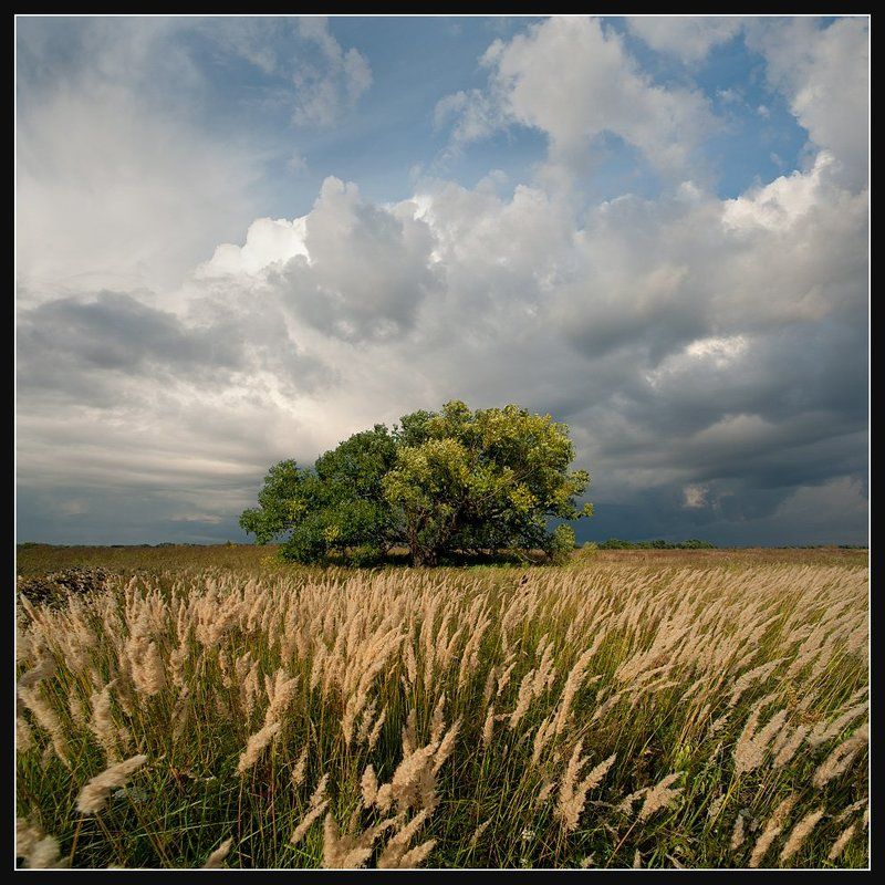 tokina af 17 f3.5 at-x pro, Август... Лето подходило к концу... фото превью