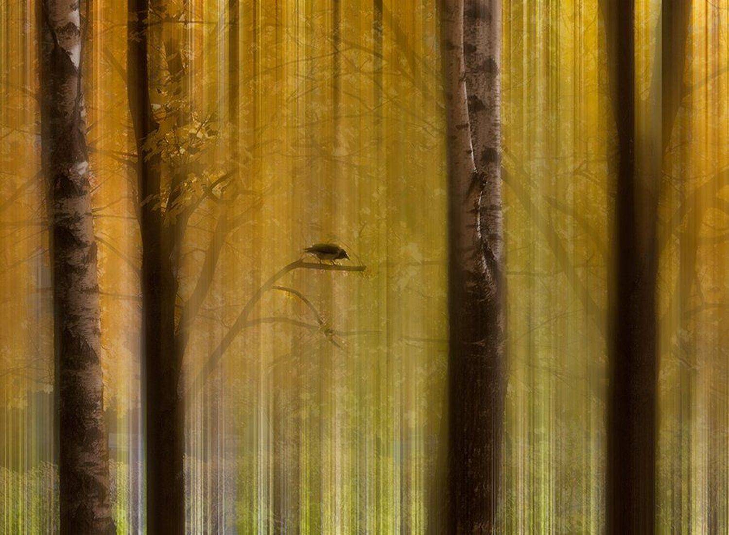 , Наталья Кузнецова (Nateletro)