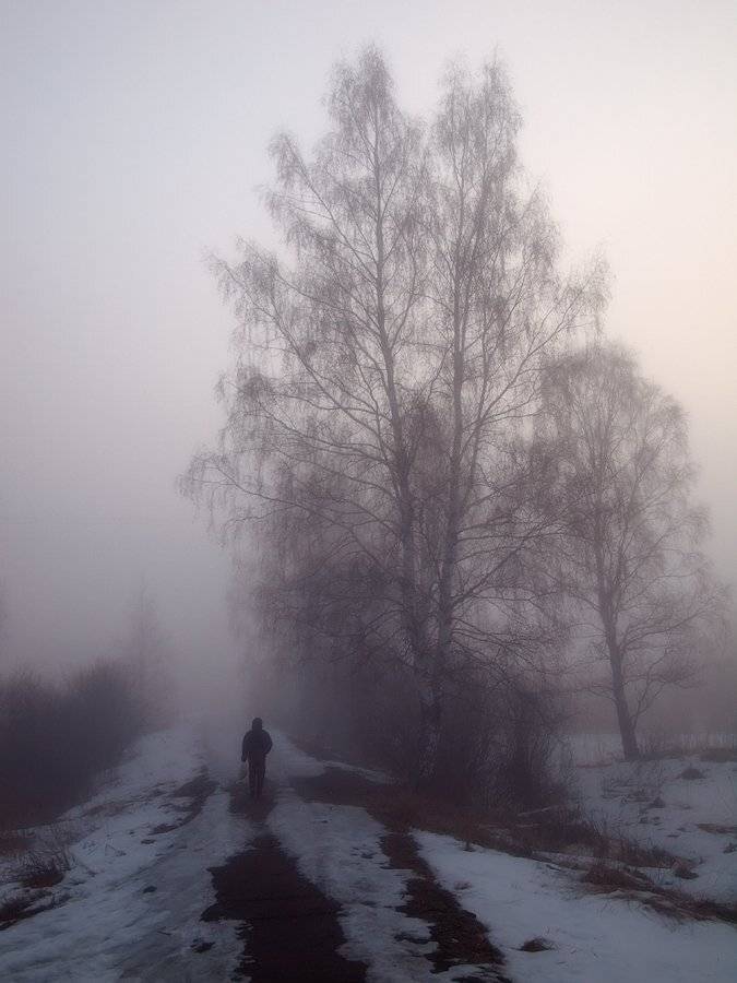 , Владимир Перепечаев