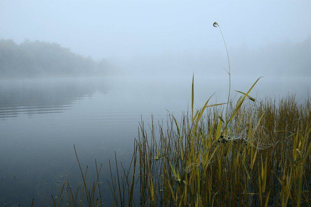 , Николай Морский