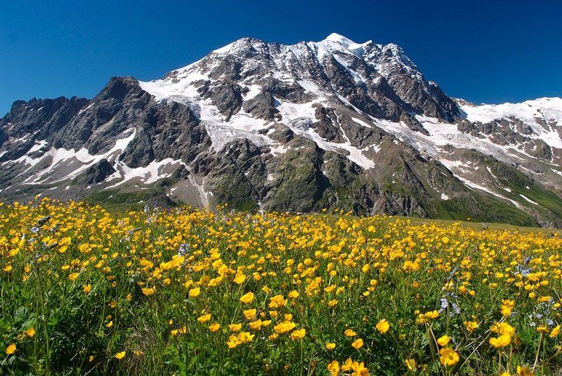 Поляна Нахашбита фото превью