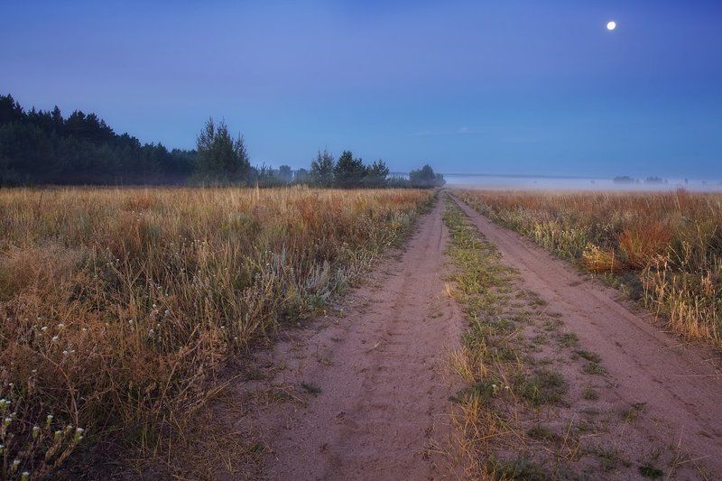 про дорогу,освещенную луной, и туманы фото превью