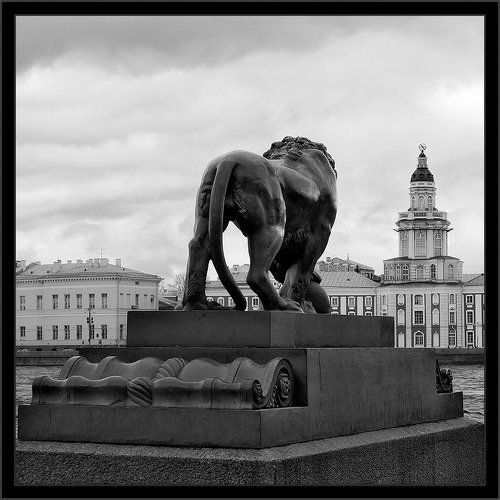 Простая черно-белая питерская квадратная картинка с видом на Кунсткамеру