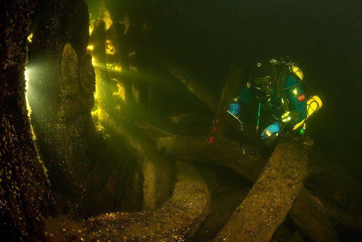 , Витя Лягушкин